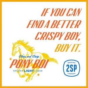 2sp Pony Boi 6PK 16OZ CANS
